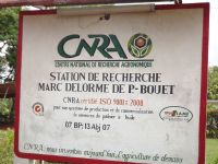 Côte d’Ivoire: 3,1 milliards FCFA pour la restructuration du Centre national de recherche agronomique